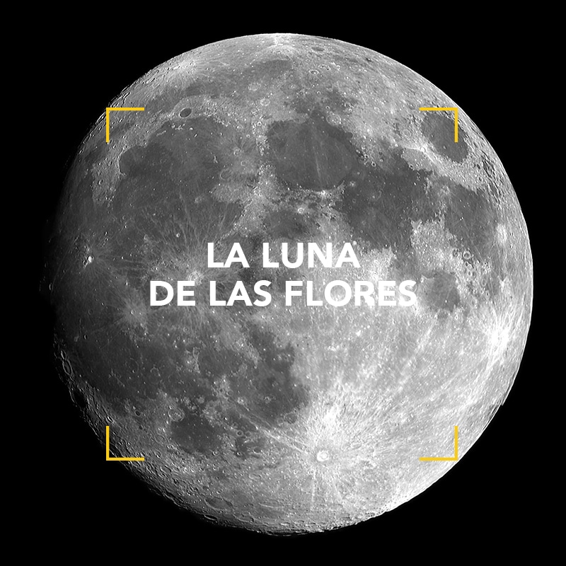 La Luna de las Flores