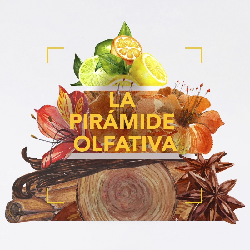 Que Significa Familia Oriental