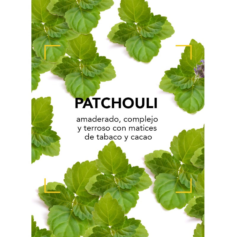 Los secretos del Patchouli