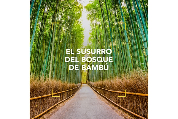 El susurro del bosque de bambú