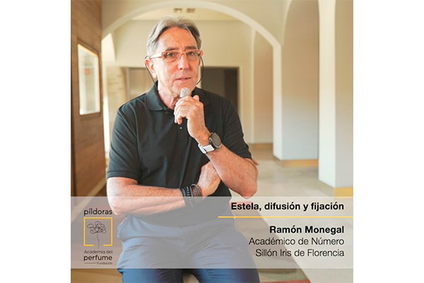 Píldora "Estela, difusión y fijación" con Ramón Monegal