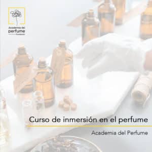Curso de inmersión en el perfume