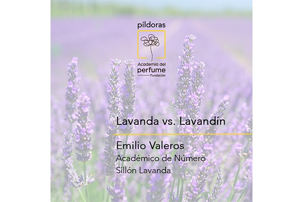 Píldora: «Lavanda vs. lavandín» con Emilio Valeros