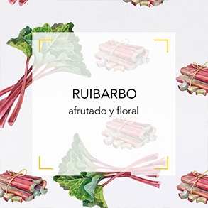 Ruibarbo