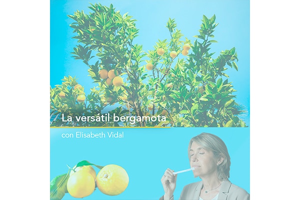 «La versátil bergamota», con Elisabeth Vidal