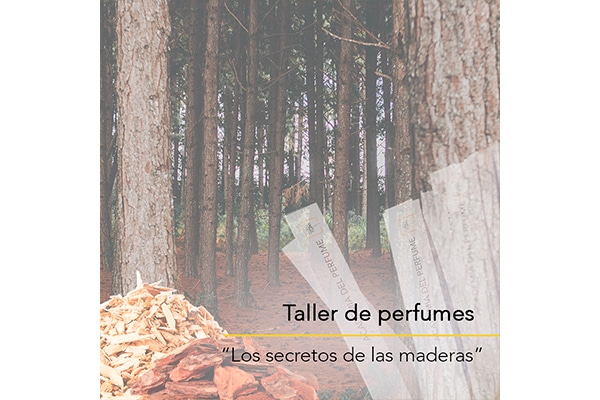 Taller de perfumes «Los secretos de las maderas»