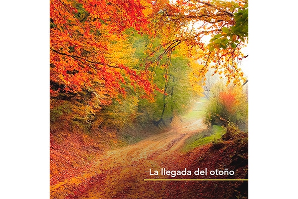 La llegada del otoño