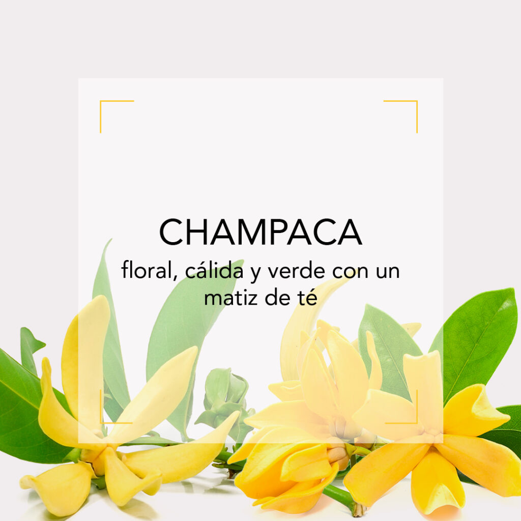 CHAMPACA
