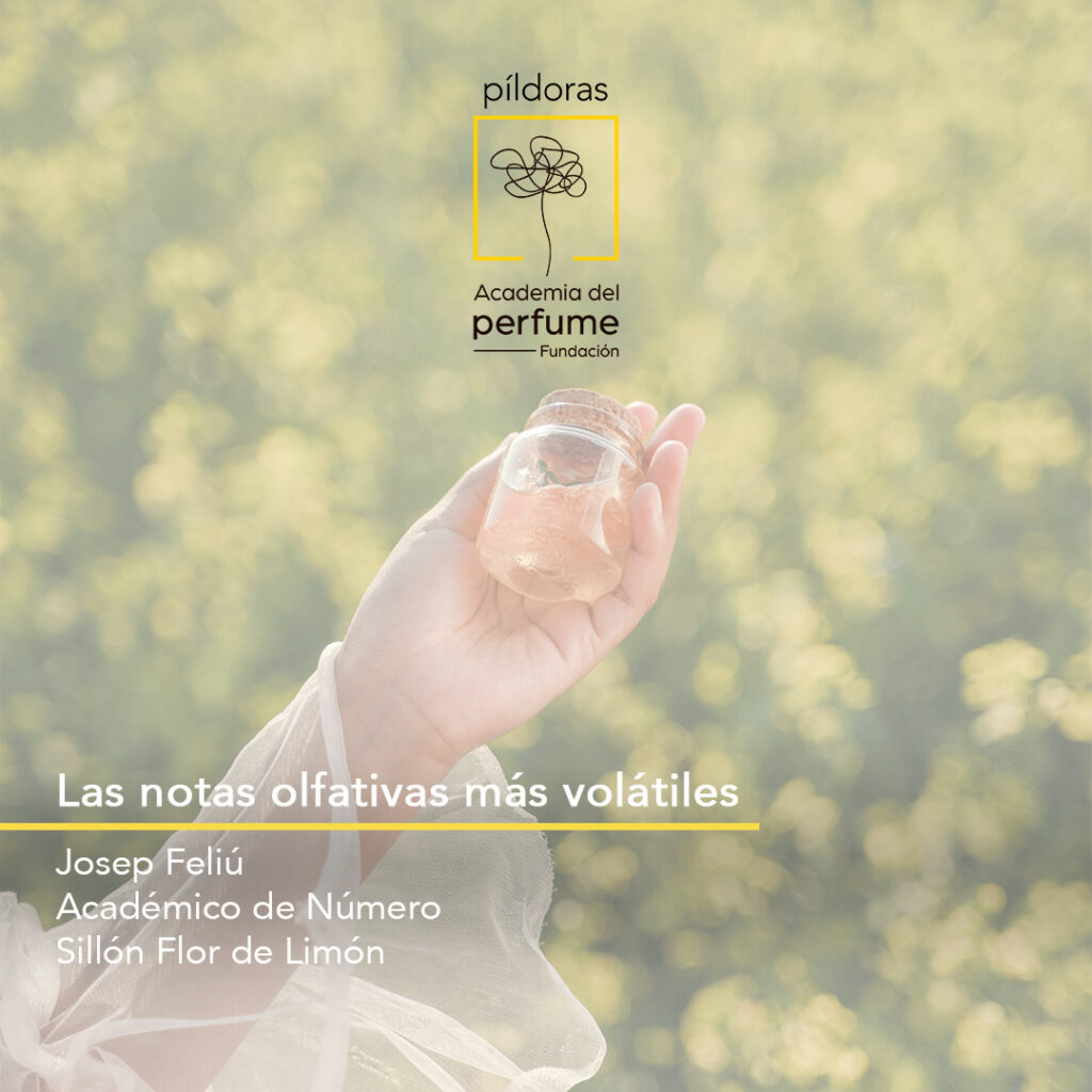 Píldora notas olfativas volátiles - Josep Feliu