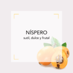Níspero