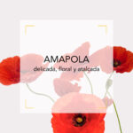 Amapola