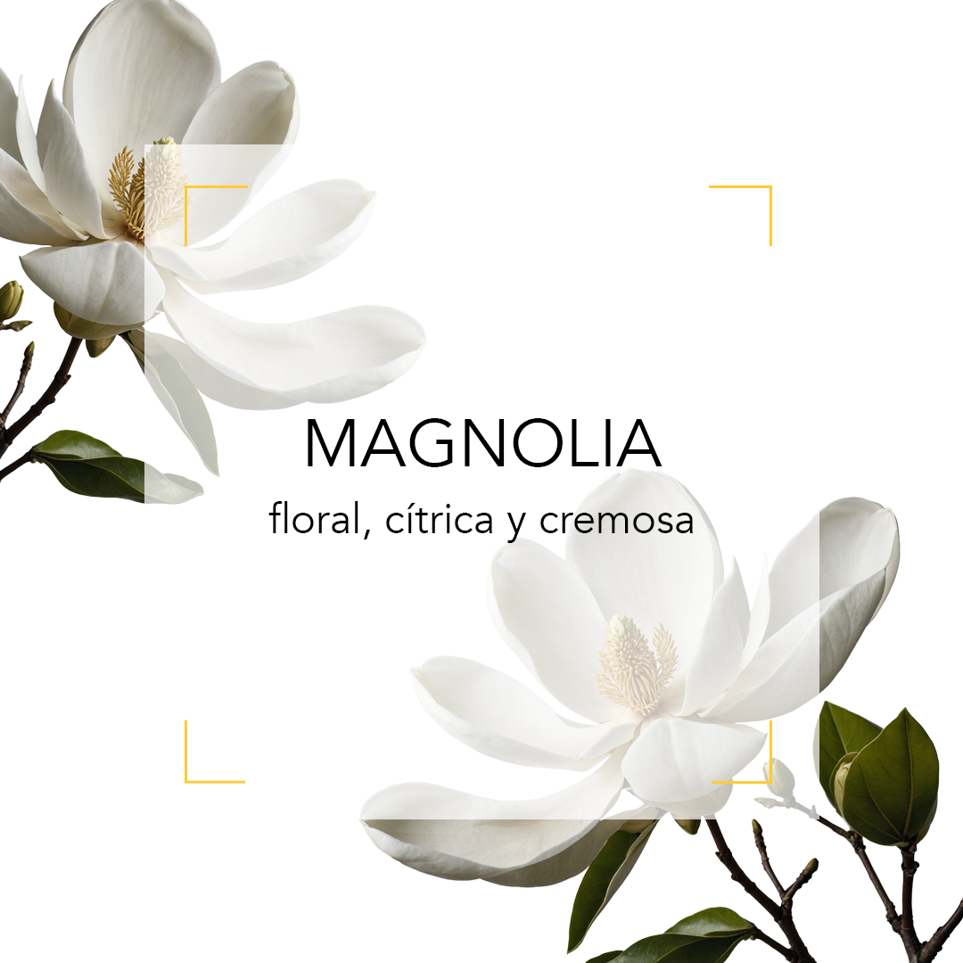 MAGNOLIA